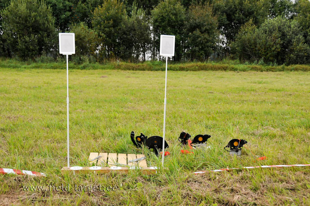 Värskelt värvitud surematud